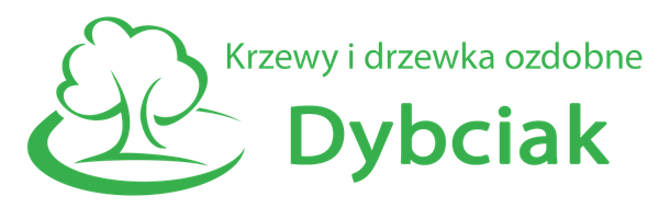 Krzewy Dybciak
